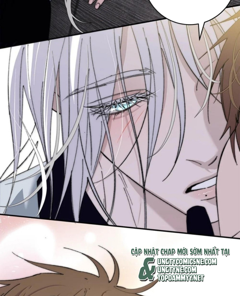 Mỗi Ngày Đều Muốn Làm Bệnh Kiều Vương Tử Xấu hổ Muốn Độn Thổ Chap 41 - Trang 2