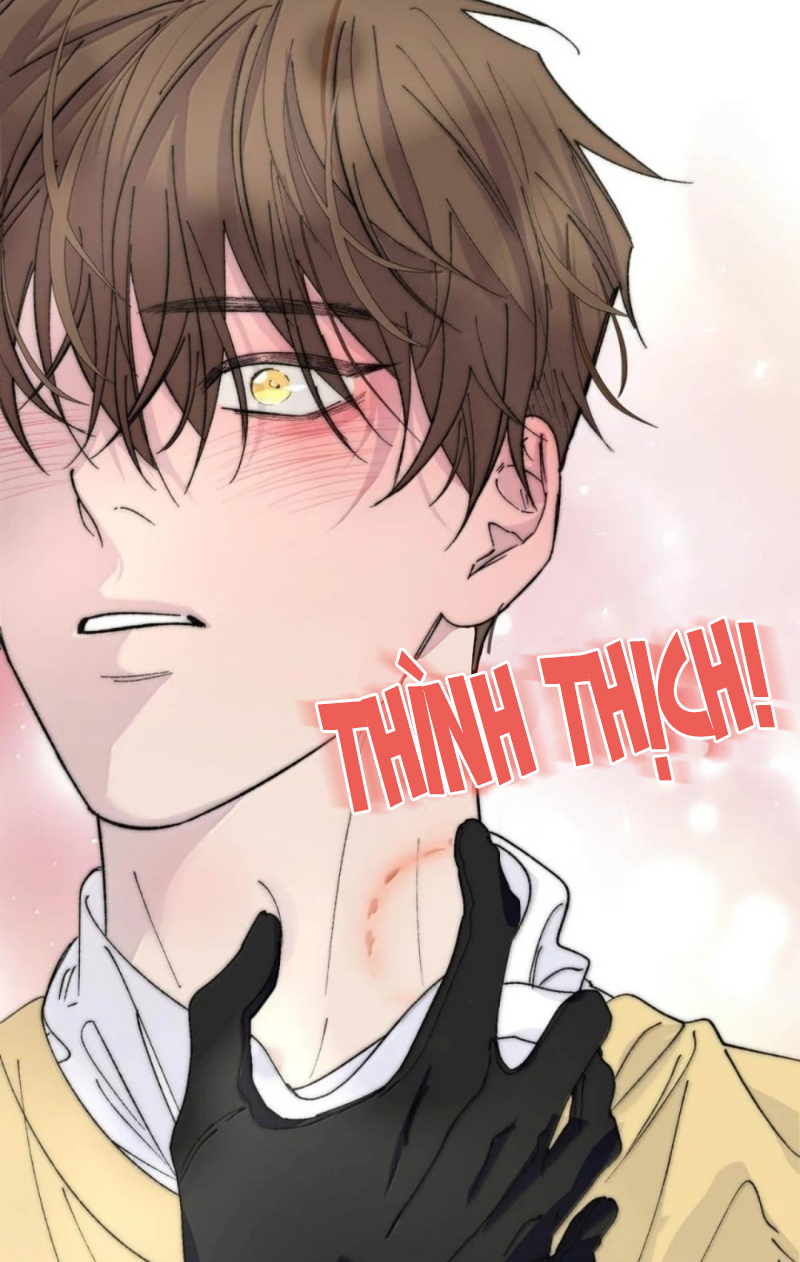 Mỗi Ngày Đều Muốn Làm Bệnh Kiều Vương Tử Xấu hổ Muốn Độn Thổ Chap 41 - Trang 2