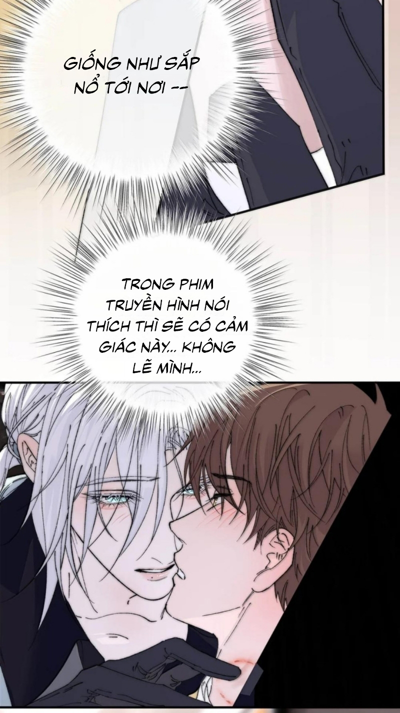 Mỗi Ngày Đều Muốn Làm Bệnh Kiều Vương Tử Xấu hổ Muốn Độn Thổ Chap 41 - Trang 2