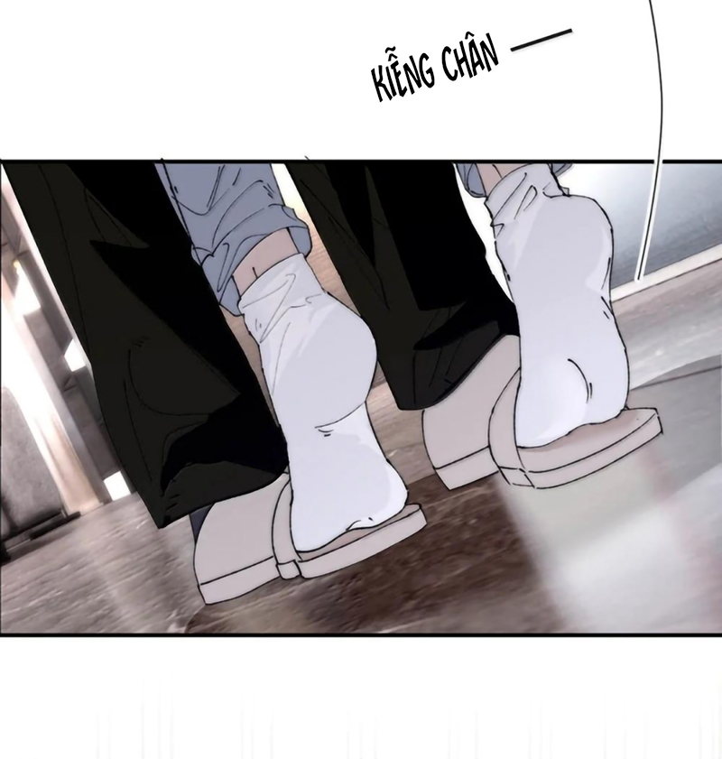 Mỗi Ngày Đều Muốn Làm Bệnh Kiều Vương Tử Xấu hổ Muốn Độn Thổ Chap 41 - Trang 2