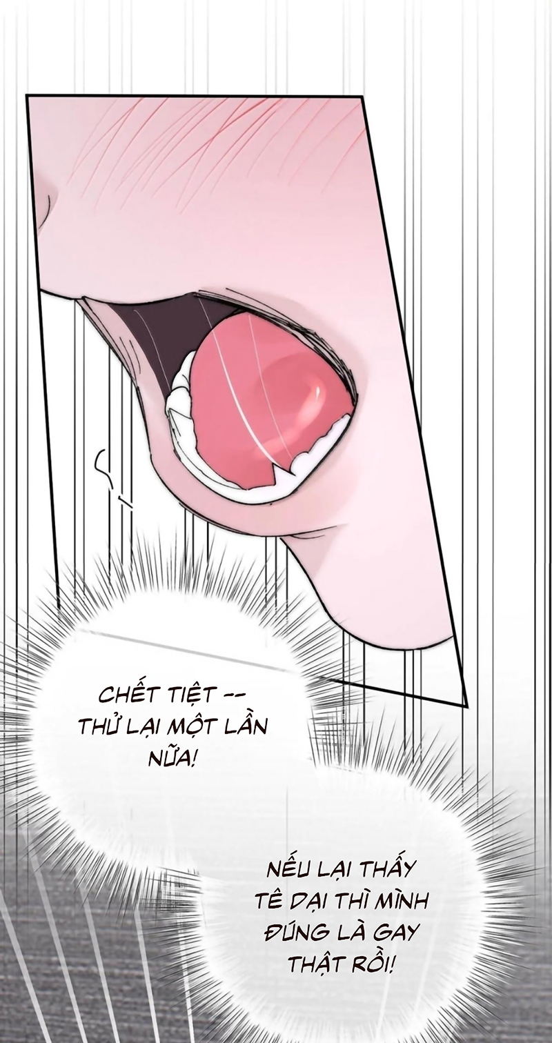 Mỗi Ngày Đều Muốn Làm Bệnh Kiều Vương Tử Xấu hổ Muốn Độn Thổ Chap 41 - Trang 2