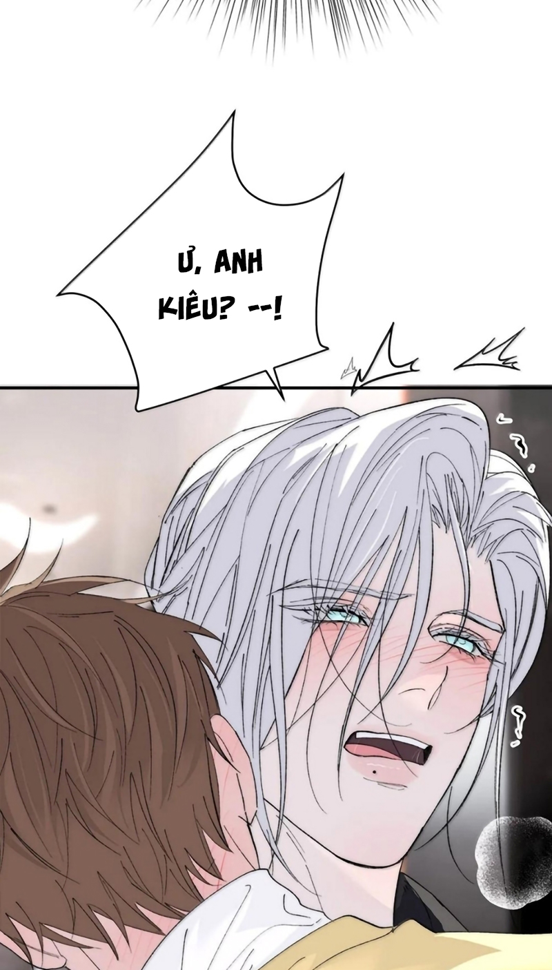 Mỗi Ngày Đều Muốn Làm Bệnh Kiều Vương Tử Xấu hổ Muốn Độn Thổ Chap 41 - Trang 2