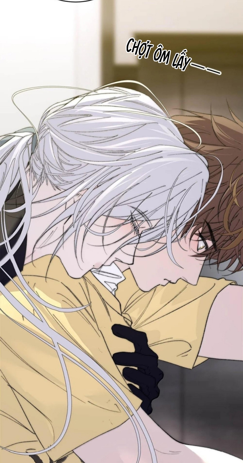 Mỗi Ngày Đều Muốn Làm Bệnh Kiều Vương Tử Xấu hổ Muốn Độn Thổ Chap 41 - Trang 2