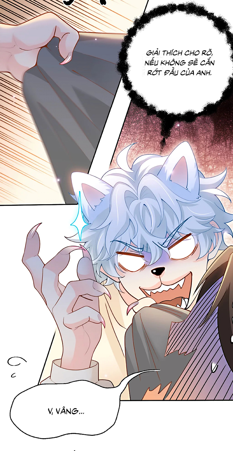 Đối Tượng Yêu Thầm Là Mèo Con Chap 6 - Next 