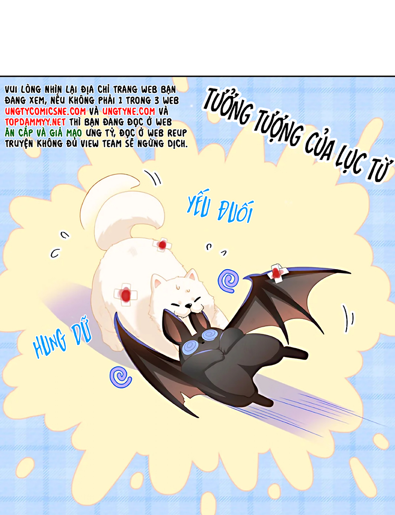 Đối Tượng Yêu Thầm Là Mèo Con Chap 6 - Next 