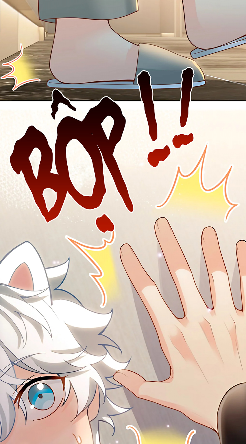 Đối Tượng Yêu Thầm Là Mèo Con Chap 6 - Next 