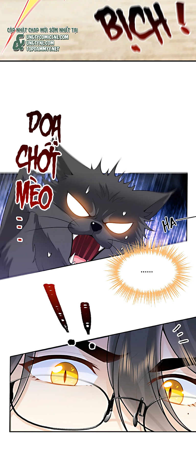 Đối Tượng Yêu Thầm Là Mèo Con Chap 6 - Next 