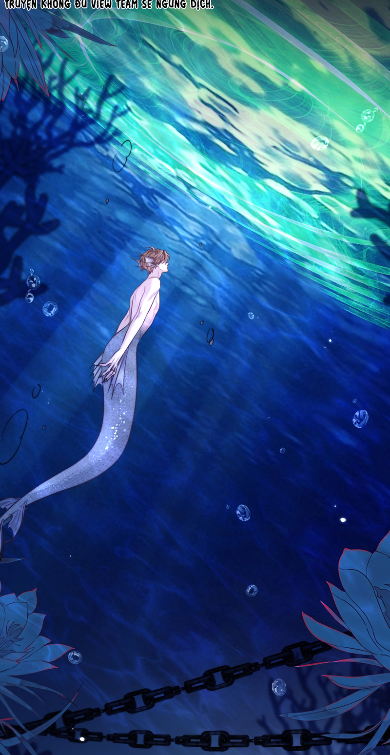 Desharow Nhân Ngư Chap 124 - Trang 2