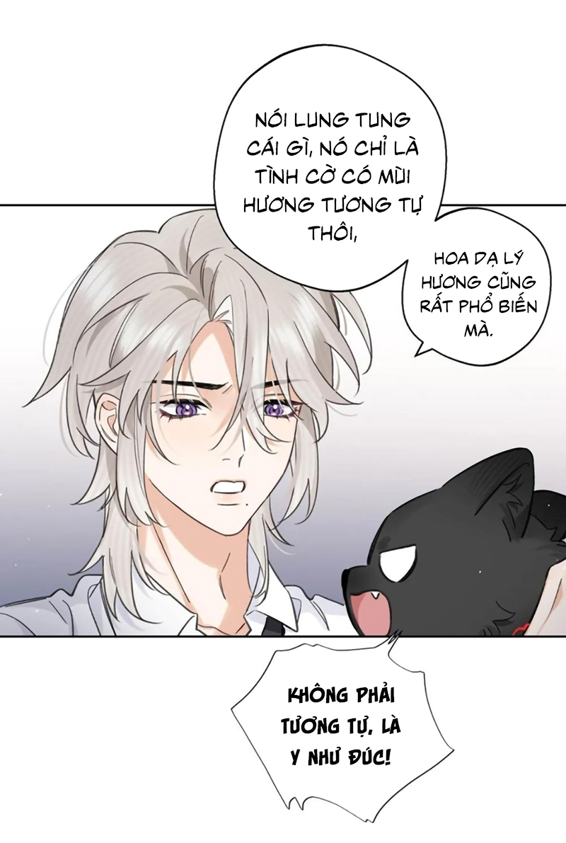 Lang Quân Muốn Chịu Trách Nhiệm Với Tôi Chap 33 - Trang 2