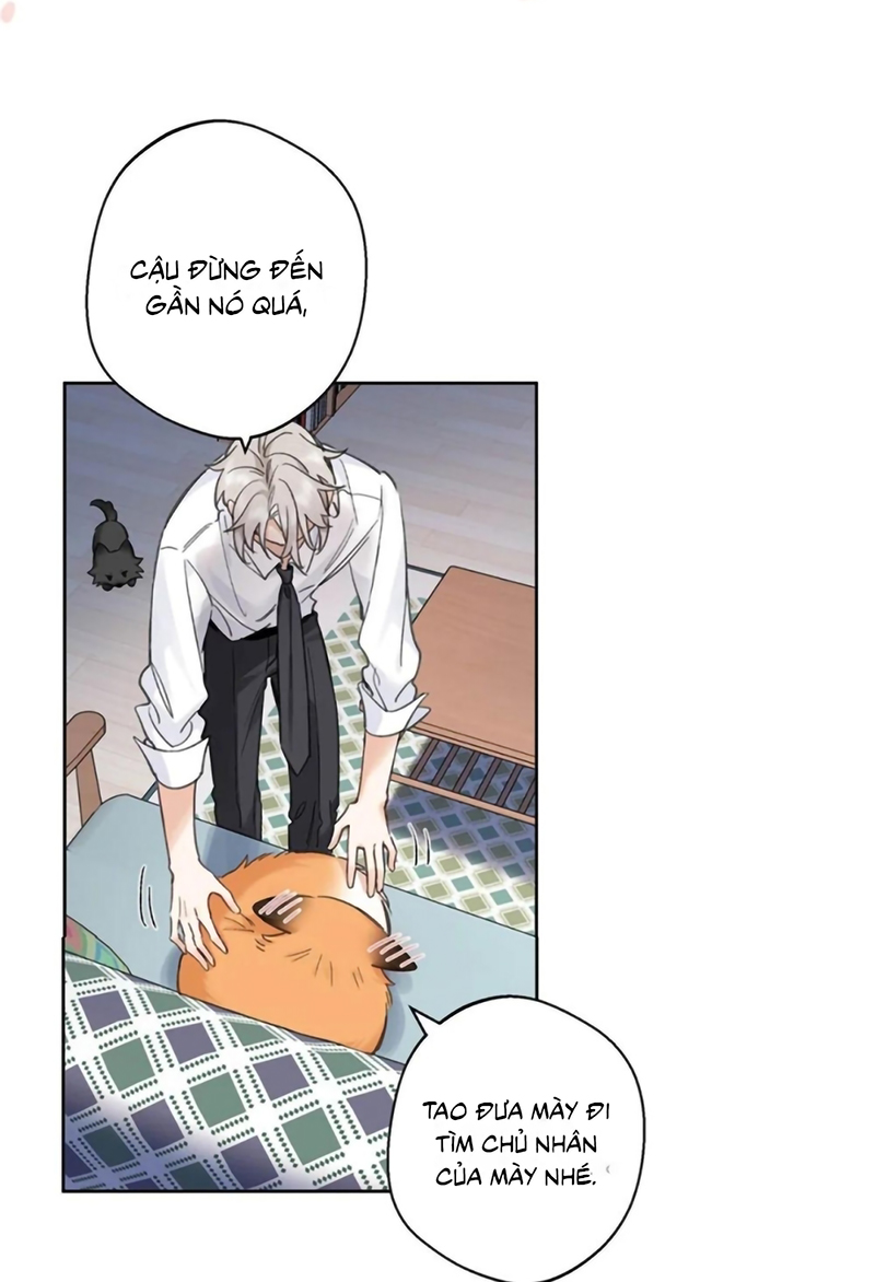 Lang Quân Muốn Chịu Trách Nhiệm Với Tôi Chap 33 - Trang 2