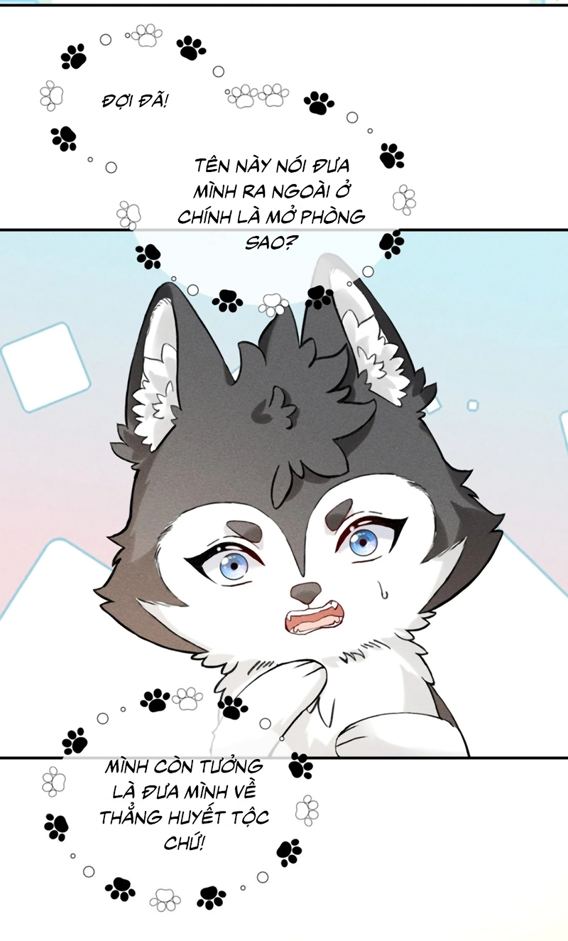 Nhận Kẻ Địch Làm Cha Chap 27 - Trang 2