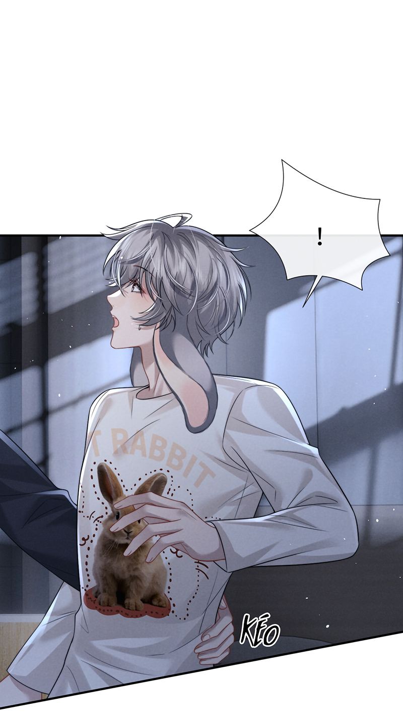 Chấp Sự Thỏ Cụp Tai Chap 190 - Trang 2