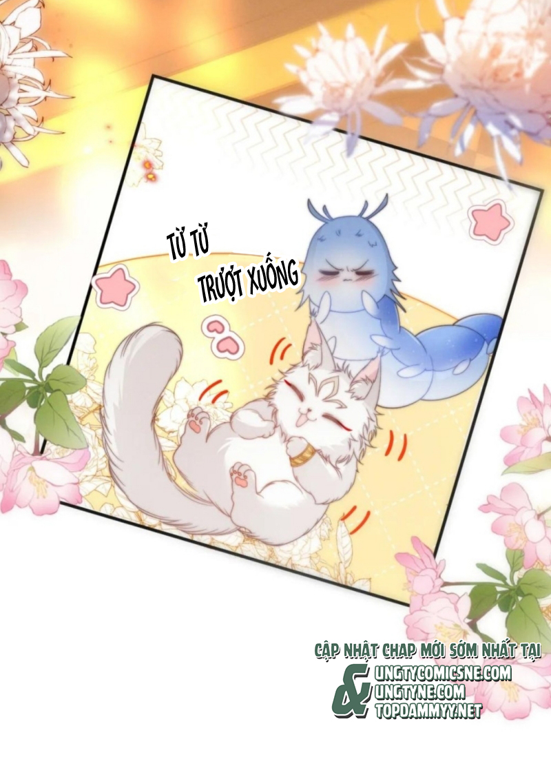 Chỉ Dẫn Săn Mồi Chap 12 - Trang 2