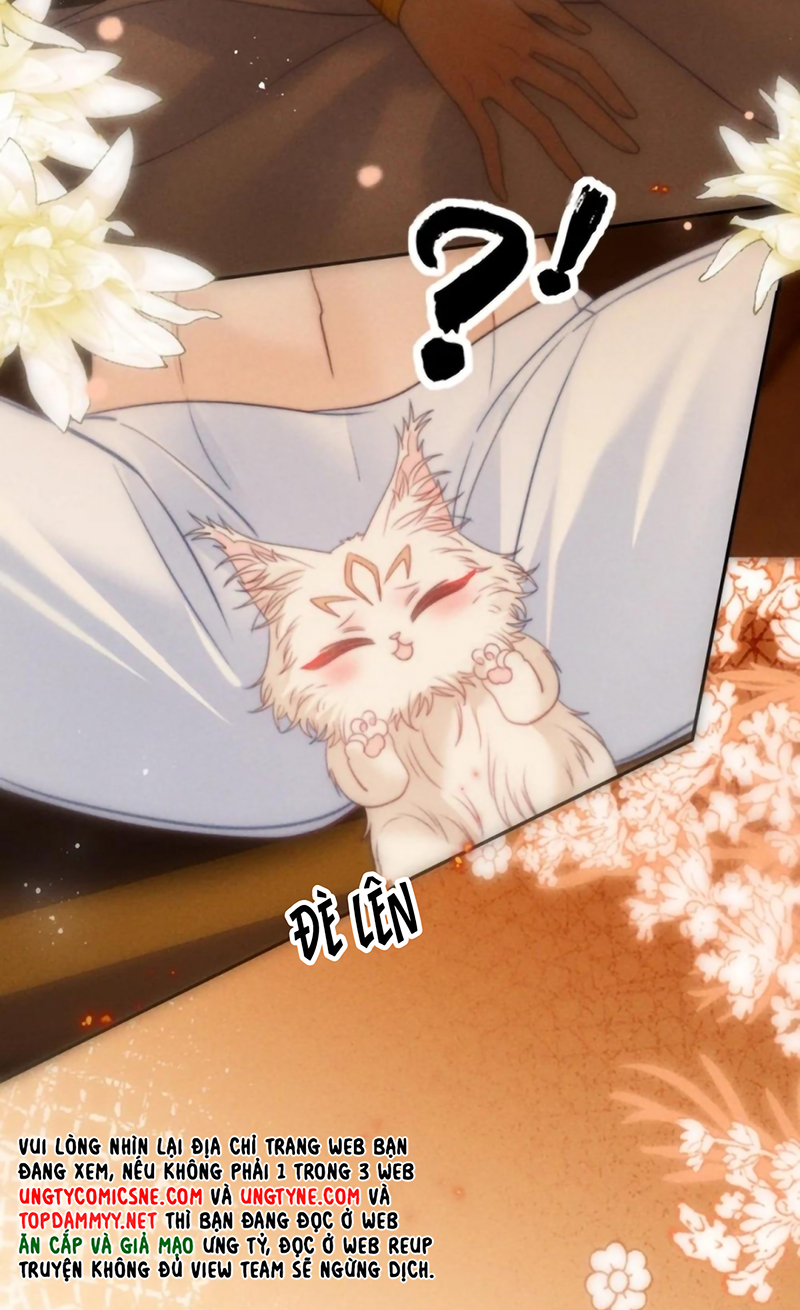 Chỉ Dẫn Săn Mồi Chap 12 - Trang 2