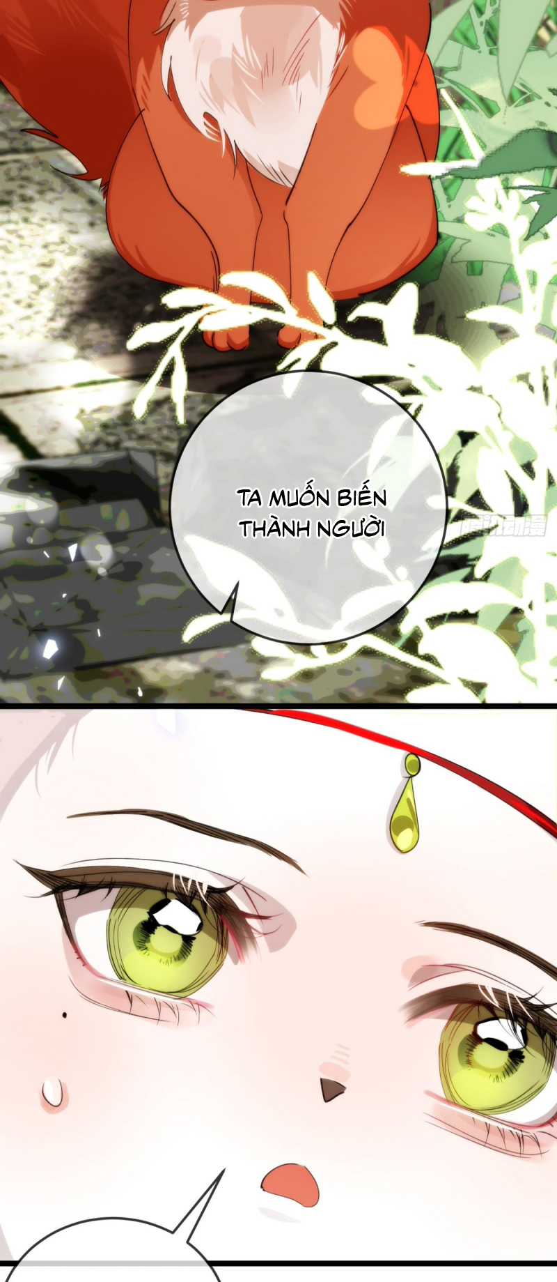 Đêm Cầu Nguyện Chap 27 - Trang 2