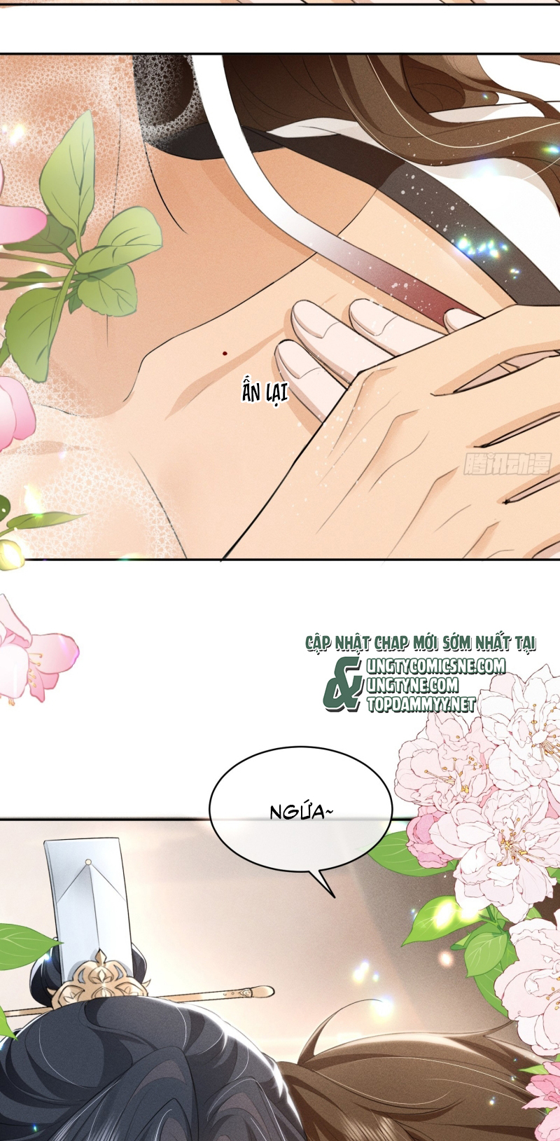 GIẤC MỘNG THANH VÂN Chap 11 - Trang 2