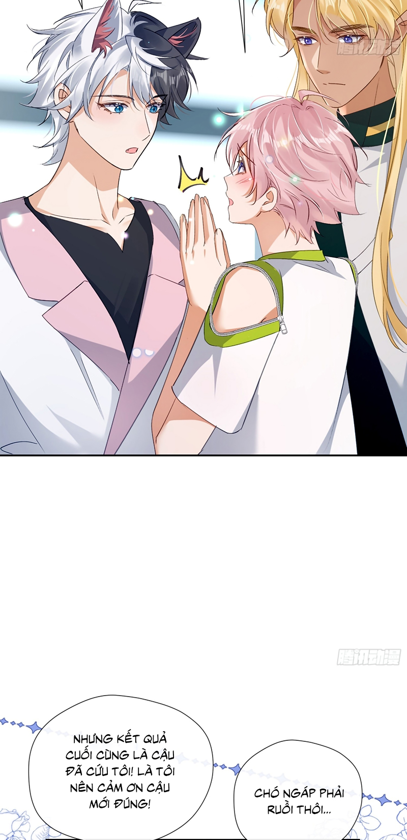CẢ VŨ TRỤ ĐỀU MUỐN THÂN THIẾT VỚI TÔI Chap 12 - Trang 2