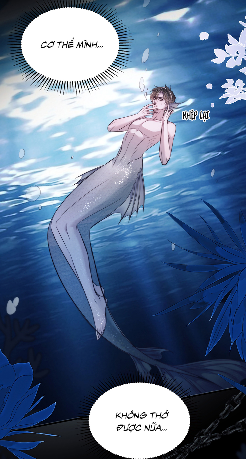 Desharow Nhân Ngư Chap 125 - Next 