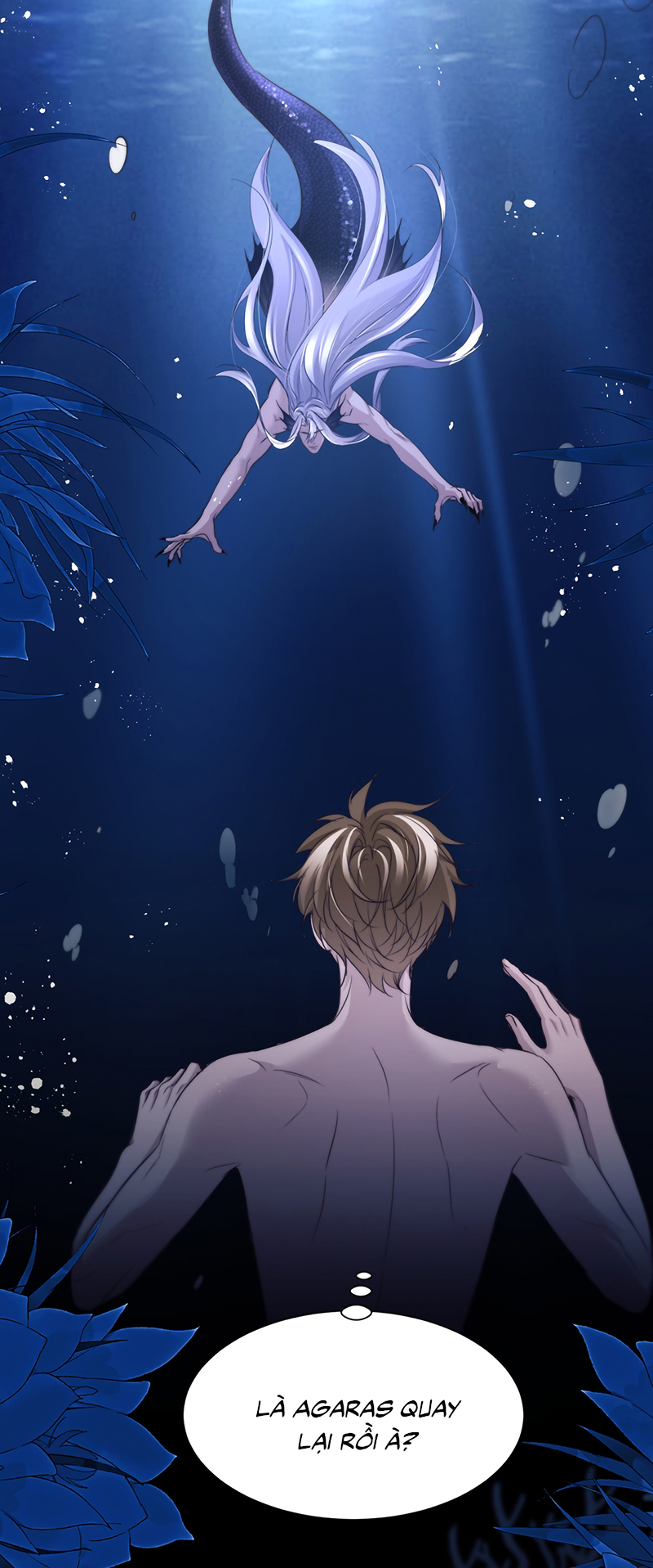 Desharow Nhân Ngư Chap 125 - Next 