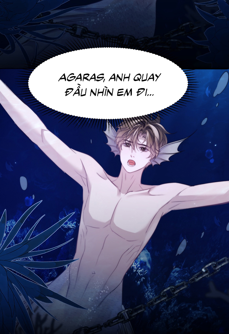 Desharow Nhân Ngư Chap 125 - Next 