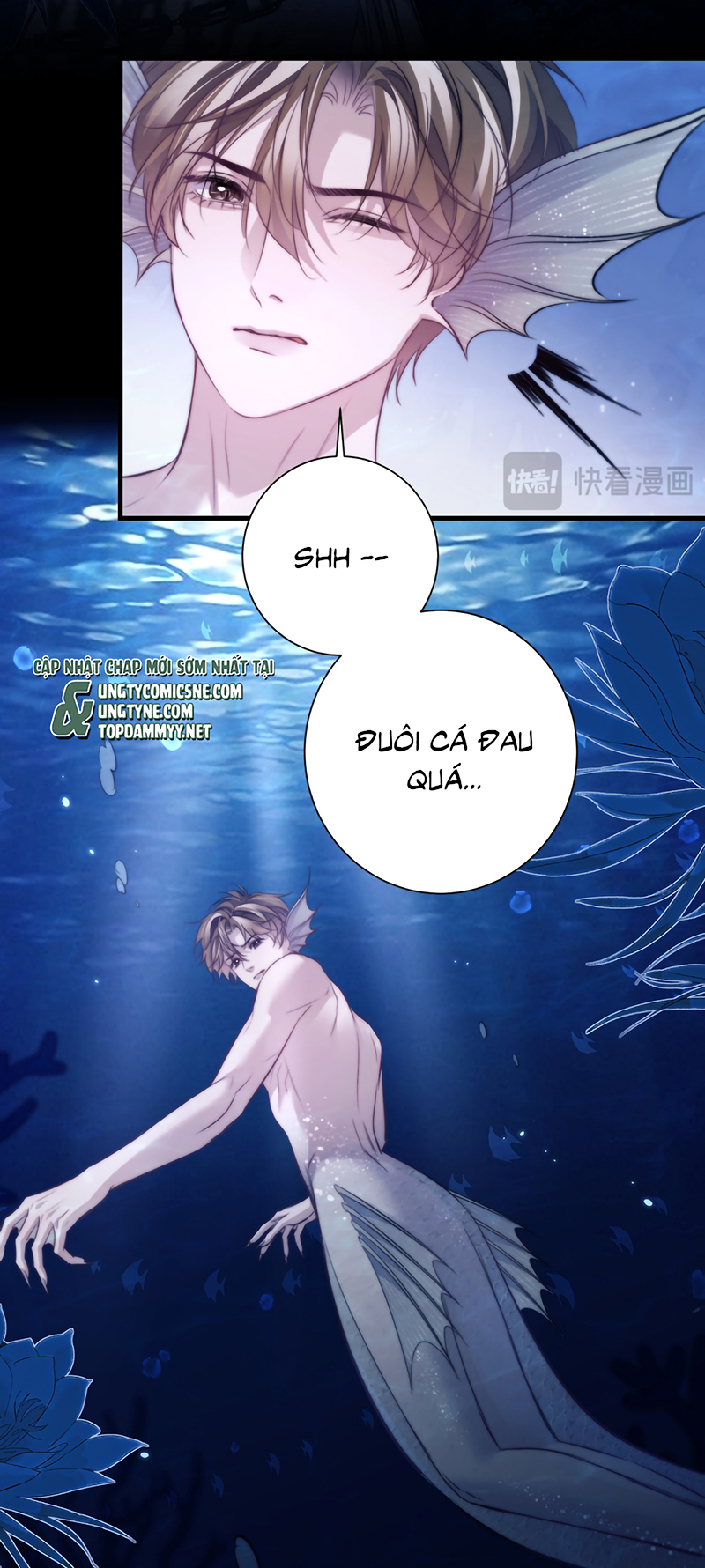 Desharow Nhân Ngư Chap 125 - Next 