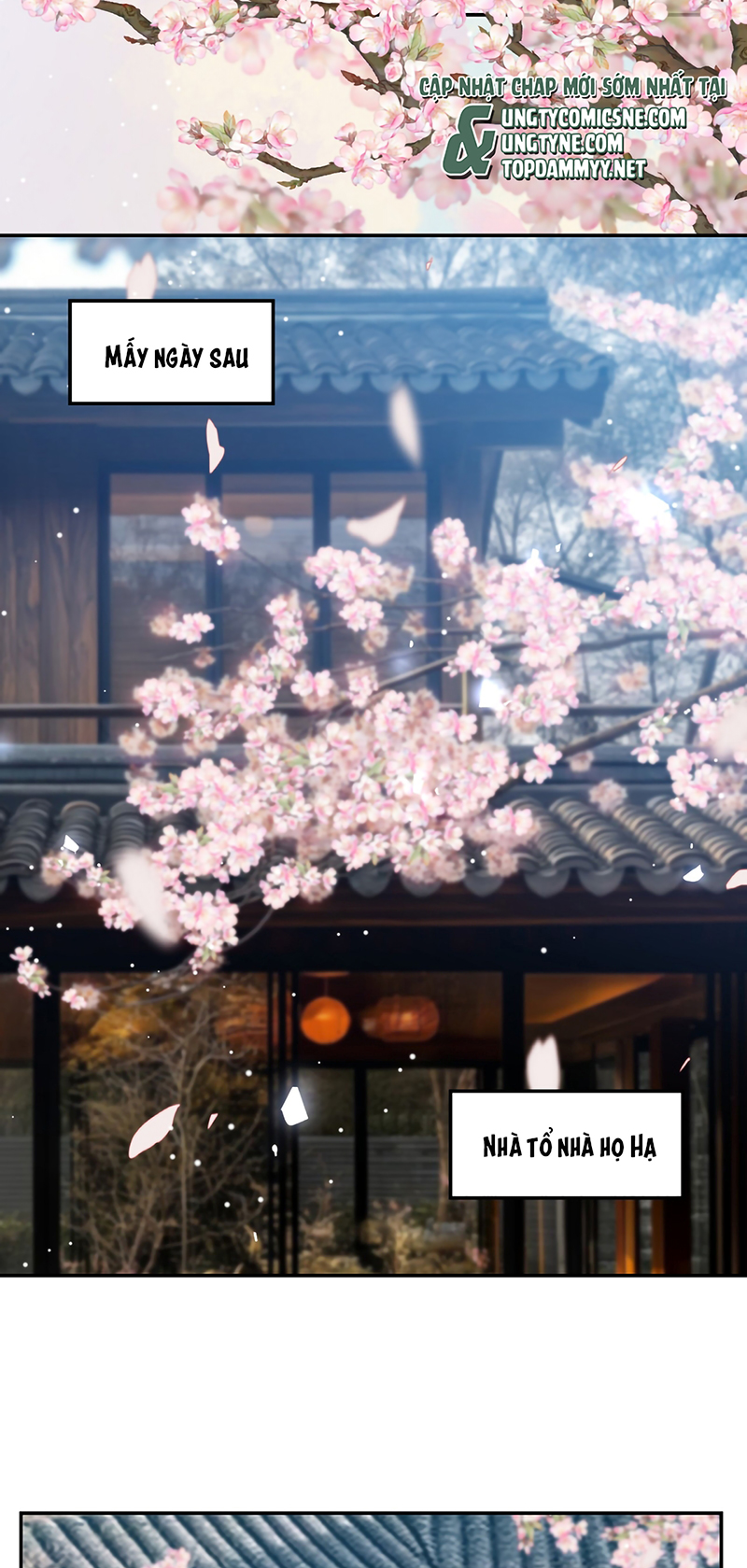 Quan Hệ Thế Thân Chap 233 - Next 