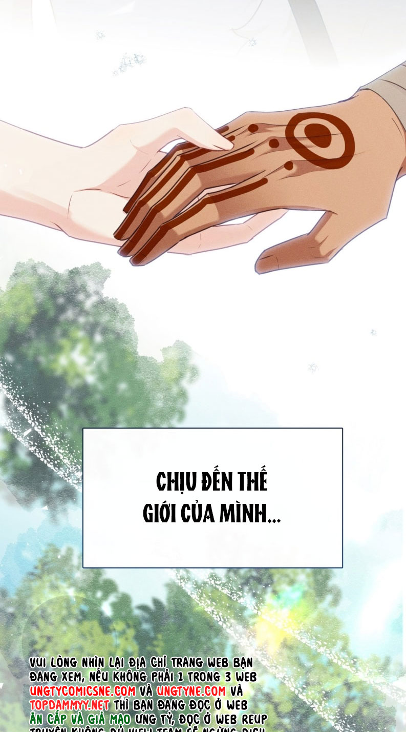 Hướng Dẫn Thuần Dưỡng Người Hoang Dã Chap 19 - Trang 2